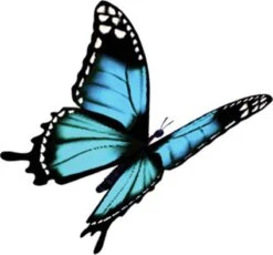 Robijn Klein & Krachtig Wasmiddel Black Velvet 1,19 Liter 11 Robijn Klein & Krachtig Wasmiddel Black Velvet 1,19 Liter -Schoonmaakmiddelen Korting 1200x1118 1