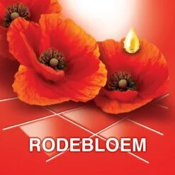 Ajax® Ajax Allesreiniger Fête Des Fleur Rode Bloem 8 X 1L - Voordeelverpakking 12 Ajax® Ajax Allesreiniger Fête Des Fleur Rode Bloem 8 X 1L - Voordeelverpakking -Schoonmaakmiddelen Korting 1200x1200 1436