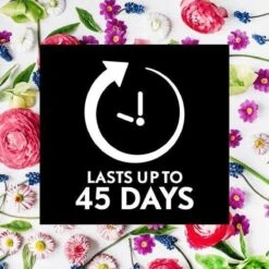 Air Wick Essential Mist Automatische Geurverspreider Luchtverfrisser - Innerlijke Rust - Navulling -Schoonmaakmiddelen Korting 1200x1200 1628