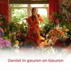 Robijn Klein & Krachtig Rosé Chique Vloeibaar Wasmiddel - 8 X 19 Wasbeurten - Voordeelverpakking -Schoonmaakmiddelen Korting 1200x1200 29