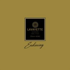 Lavayette Premium Wasparfum - Jasmin Shades - Geurbooster 500ml (Diamante) -Schoonmaakmiddelen Korting 1200x1200 383