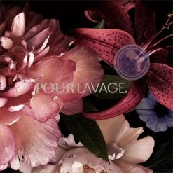 Lavayette Premium Wasparfum - Jasmin Shades - Geurbooster 500ml (Diamante) -Schoonmaakmiddelen Korting 1200x1200 385