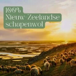 Miki's Goods® XL Wollen Drogerballen 6 Stuks - Panda Wasballen - Duurzaam - Wasbol - 100% Nieuw-Zeelandse Schapenwol - Wasbollen - Herbruikbaar- Droogballen - Snellere Droogtijd - Zuigt Dierenharen Op 14 Miki's Goods® XL Wollen Drogerballen 6 Stuks - Panda Wasballen - Duurzaam - Wasbol - 100% Nieuw-Zeelandse Schapenwol - Wasbollen - Herbruikbaar- Droogballen - Snellere Droogtijd - Zuigt Dierenharen Op -Schoonmaakmiddelen Korting 1200x1200 536