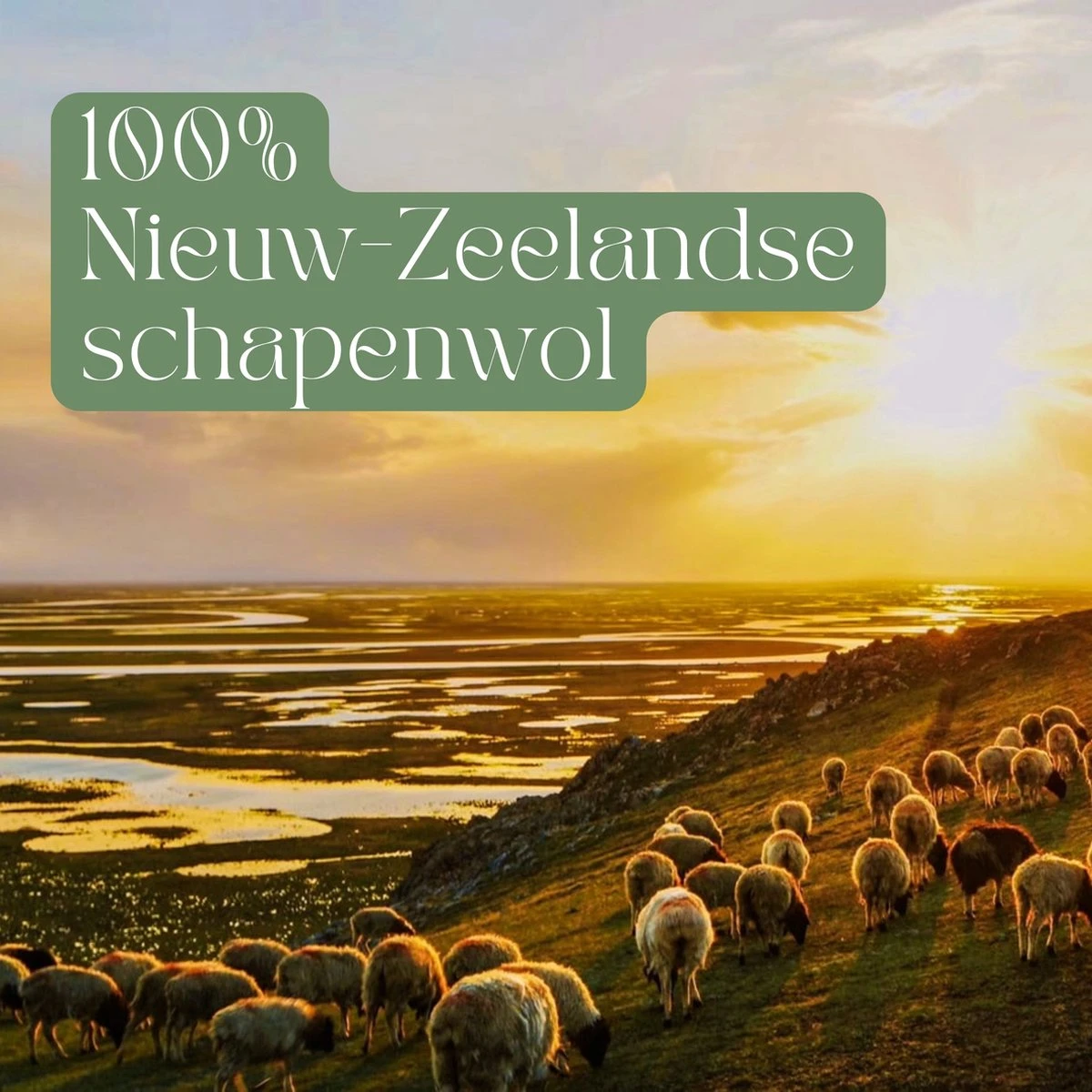 Miki's Goods® XL Wollen Drogerballen 6 Stuks - Panda Wasballen - Duurzaam - Wasbol - 100% Nieuw-Zeelandse Schapenwol - Wasbollen - Herbruikbaar- Droogballen - Snellere Droogtijd - Zuigt Dierenharen Op 6 Miki's Goods® XL Wollen Drogerballen 6 Stuks - Panda Wasballen - Duurzaam - Wasbol - 100% Nieuw-Zeelandse Schapenwol - Wasbollen - Herbruikbaar- Droogballen - Snellere Droogtijd - Zuigt Dierenharen Op - Afbeelding 6