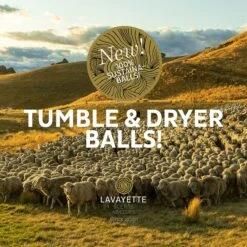 Lavayette XL Drogerballen Met 25ml Wasparfum - WasdrogerBallen – Droogballen – Wasbol – 100% Nieuw-Zeelands Schapenwol – Milieu- En Diervriendelijk – 6 Stuks 15 Lavayette XL Drogerballen Met 25ml Wasparfum - WasdrogerBallen – Droogballen – Wasbol – 100% Nieuw-Zeelands Schapenwol – Milieu- En Diervriendelijk – 6 Stuks -Schoonmaakmiddelen Korting 1200x1200 560