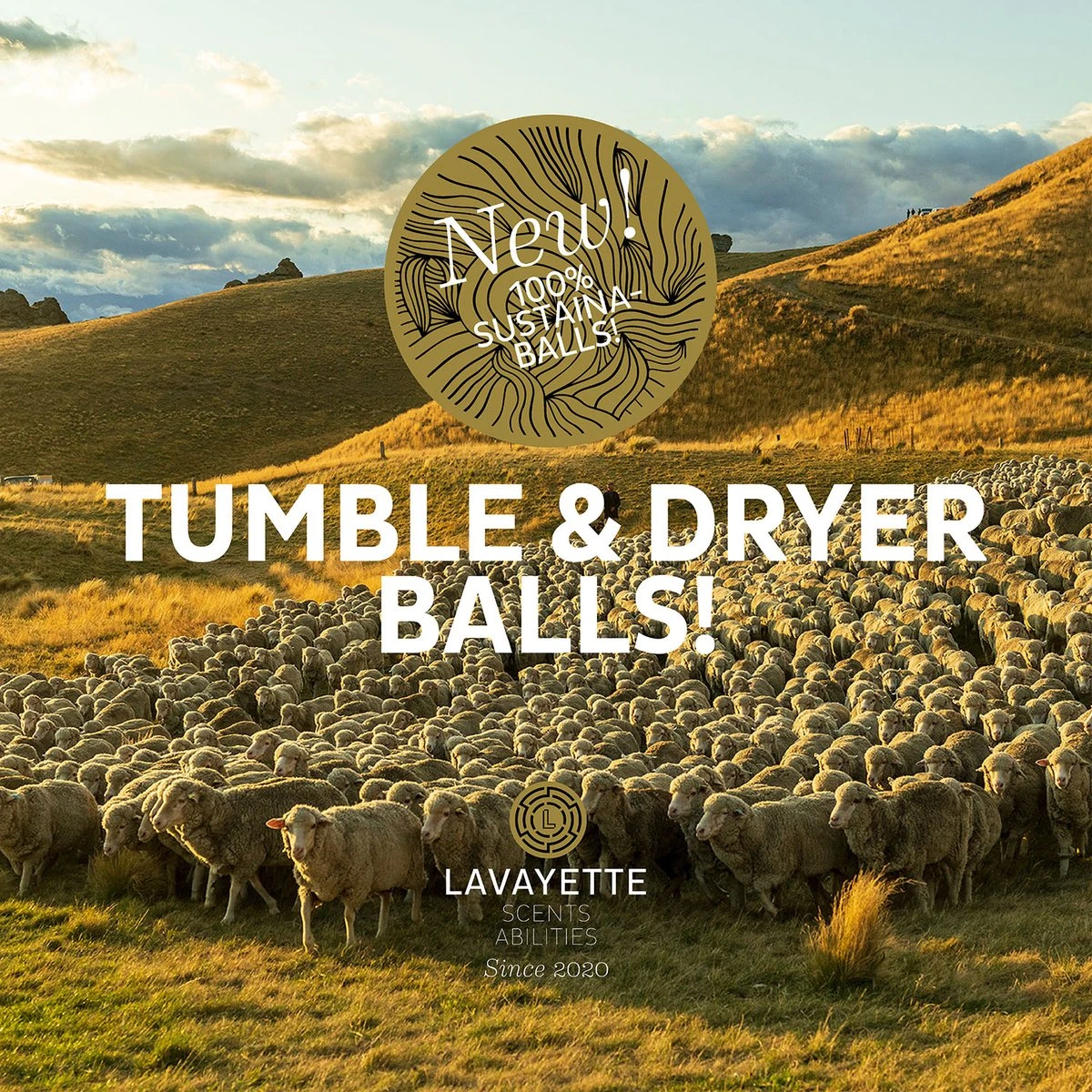 Lavayette XL Drogerballen Met 25ml Wasparfum - WasdrogerBallen – Droogballen – Wasbol – 100% Nieuw-Zeelands Schapenwol – Milieu- En Diervriendelijk – 6 Stuks 5 Lavayette XL Drogerballen Met 25ml Wasparfum - WasdrogerBallen – Droogballen – Wasbol – 100% Nieuw-Zeelands Schapenwol – Milieu- En Diervriendelijk – 6 Stuks - Afbeelding 5