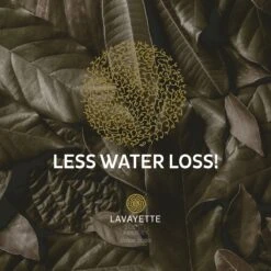 Lavayette XL Drogerballen Met 25ml Wasparfum - WasdrogerBallen – Droogballen – Wasbol – 100% Nieuw-Zeelands Schapenwol – Milieu- En Diervriendelijk – 6 Stuks 20 Lavayette XL Drogerballen Met 25ml Wasparfum - WasdrogerBallen – Droogballen – Wasbol – 100% Nieuw-Zeelands Schapenwol – Milieu- En Diervriendelijk – 6 Stuks -Schoonmaakmiddelen Korting 1200x1200 565