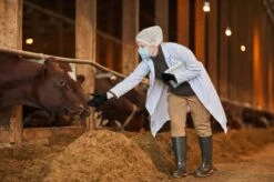 ANSELL MICROFLEX® 93-732 - Nitril Wegwerp Handschoenen, Latexvrij, Poedervrij, S, Zwart, 100 Stuks (0.7-0.11mm) -Schoonmaakmiddelen Korting 1200x799 37