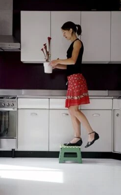 PUHLMANN - Inklapbare Kruk, JAMES, Plastic, Groen, 22 Cm Hoog, Max 100kilo 12 PUHLMANN - Inklapbare Kruk, JAMES, Plastic, Groen, 22 Cm Hoog, Max 100kilo -Schoonmaakmiddelen Korting 746x1200 1