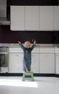 PUHLMANN - Inklapbare Kruk, JAMES, Plastic, Groen, 22 Cm Hoog, Max 100kilo 10 PUHLMANN - Inklapbare Kruk, JAMES, Plastic, Groen, 22 Cm Hoog, Max 100kilo -Schoonmaakmiddelen Korting 755x1200