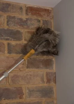 Plumeau Met Struisvogelveren, Bruin - KitchenCraft | Living Nostalgia 11 Plumeau Met Struisvogelveren, Bruin - KitchenCraft | Living Nostalgia -Schoonmaakmiddelen Korting 856x1200 2